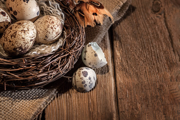 nest with small variegated quail eggs close-up on a wooden background - 写真・画像