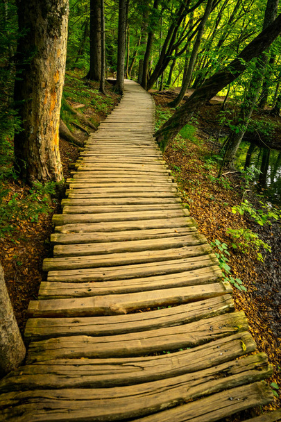 Camino de madera a la naturaleza verde
 - Foto, Imagen