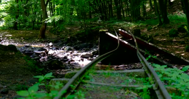 Verlassene Eisenbahnstrecke oberhalb des Flusses Csarna - Filmmaterial, Video