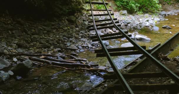 サルナ川の上の放棄された鉄道線路 - 映像、動画