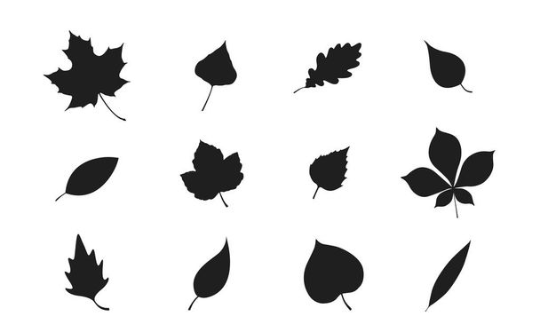 leaf silhouette set. nature and plant design element. leaf of trees collection - Vector, afbeelding