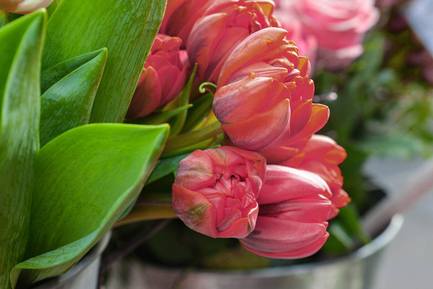 Orange tulips in a vase. Spring concept. - Foto, Bild