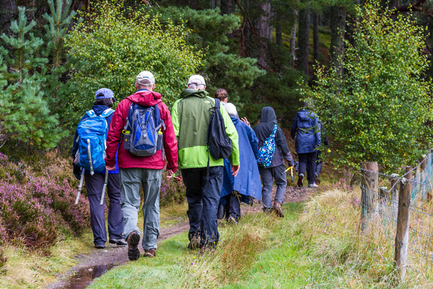 Caminhando nas Terras Altas da Escócia
 - Foto, Imagem