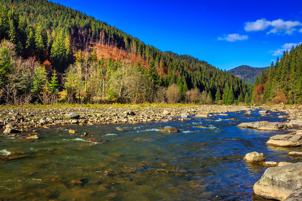 river flows by rocky shore near the autumn mountain forest - Foto, afbeelding