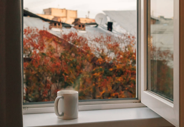 Cup of coffee at the edge of the windows in the morning. - Foto, Imagen