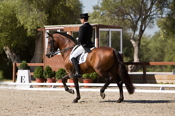 Rider competing in dressage competition classic - Photo, Image