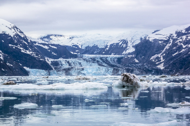John Hopkins jäätikkö sumuinen päivä Glacier Bay National Park
. - Valokuva, kuva
