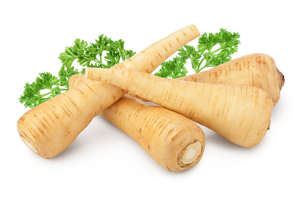 Parsnip root isolated on white background closeup - Photo, Image