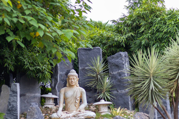 Baixo ângulo largo tiro de uma estátua de buddha em pose de meditação
. - Foto, Imagem