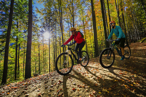Cyclisme, VTT femme sur piste cyclable dans la forêt d'automne
. - Photo, image