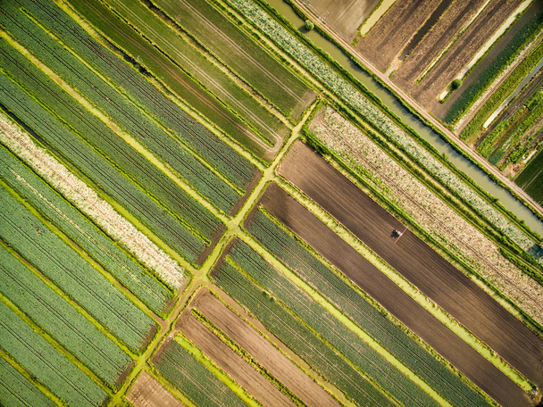 Veduta aerea dei campi in Francia, Saint-Lo
 - Foto, immagini
