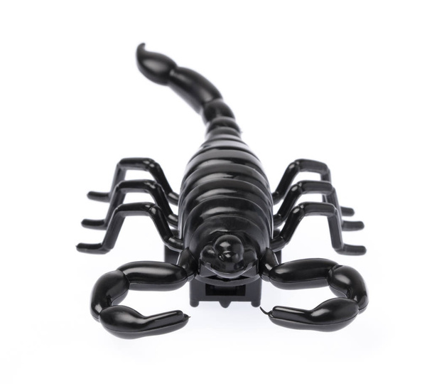 The black  scorpion isolated on white background - 写真・画像