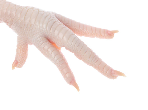 Сырые куриные ножки на белом фоне - Фото, изображение