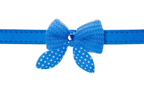 Blue pet collar with polka dots and bow tie isolated over white  - 写真・画像