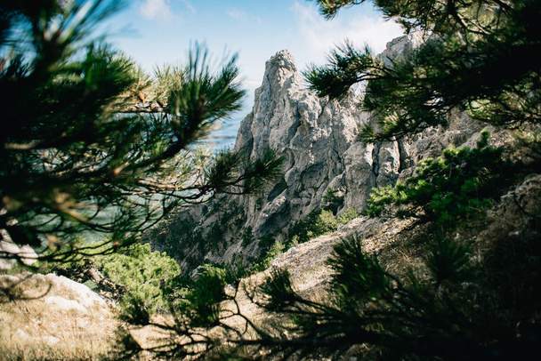 Rocks Ai-Petri of Crimean Mountains. - Fotoğraf, Görsel