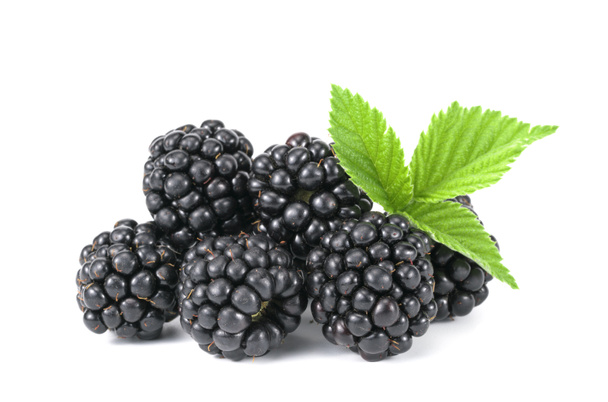 blackberry απομονώνονται σε λευκό φόντο, αποκοπής διαδρομή, πλήρες βάθος πεδίου - Φωτογραφία, εικόνα