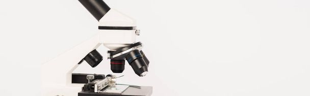 panoramic shot of modern microscope isolated on white - 写真・画像