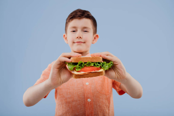 child with sandwich in hand. boy looks at the camera, - Zdjęcie, obraz