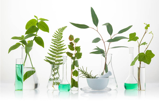 Scientific Experiment. Different herbs in test tubes. - Fotografie, Obrázek
