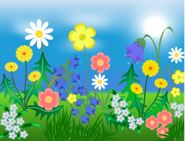 EPS10 Векторна ілюстрація Яскраві дикі квіти на тлі неба і трави
 - Вектор, зображення