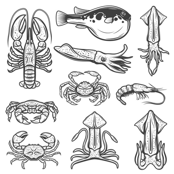 Hummer, Tintenfische, Krabben, Garnelen, Fugu. Meeresfrüchte, Fisch - Vektor, Bild