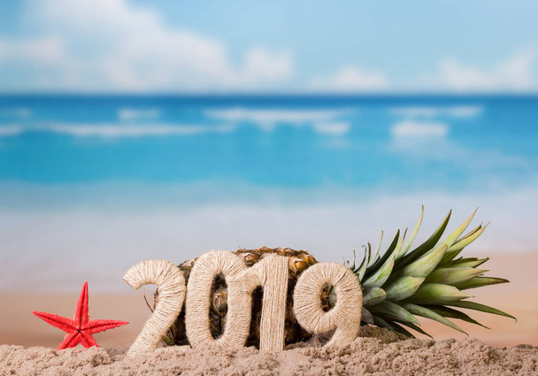 Starfish, symbol of 2019, behind it lies pineapple, on sea coast - Φωτογραφία, εικόνα