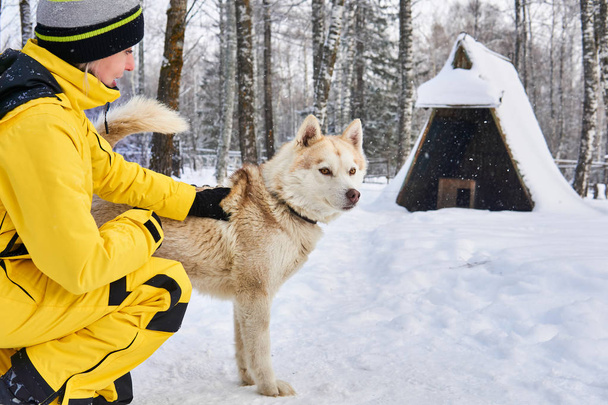 woman stroking a husky dog in the winter forest - Photo, Image