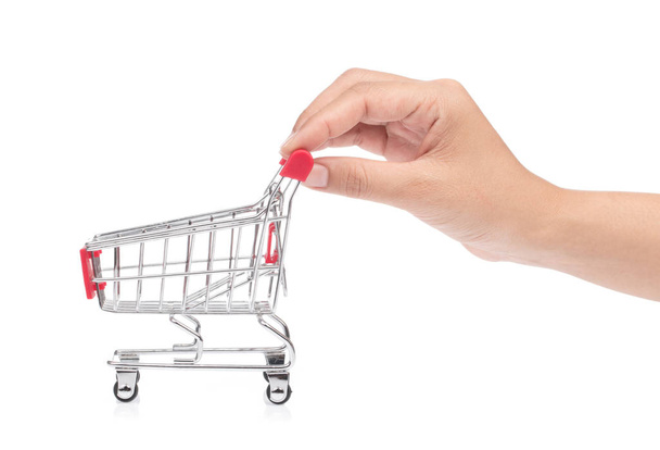 hand holding a small shopping cart isolated on white background - Photo, Image