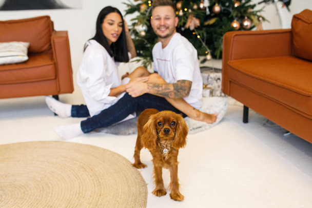 young beautiful couple in white clothes having fun with a small dog in their apartment - Foto, immagini