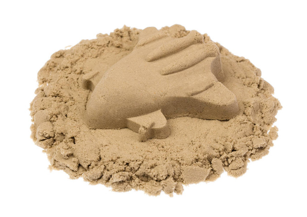 Scultura di sabbia di un animale isolato su sfondo bianco
 - Foto, immagini