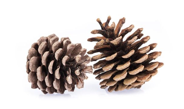 Pine cones isolated on white background - Foto, Bild