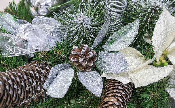 Різдвяні шишки на дереві
 - Фото, зображення