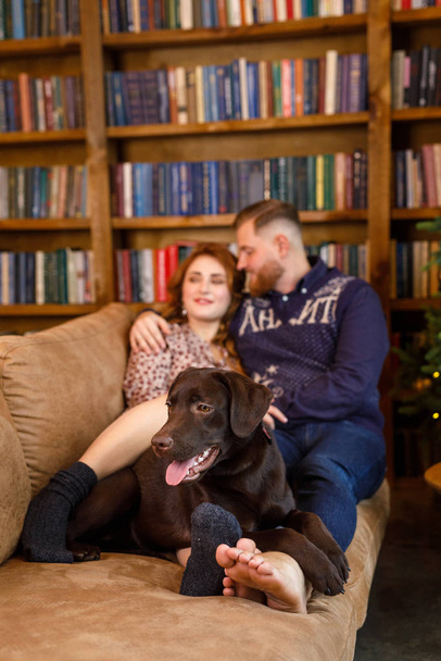 young beautiful couple sitting on the bed with two dogs on the background of the library and books in the apartment in the loft style - Foto, immagini