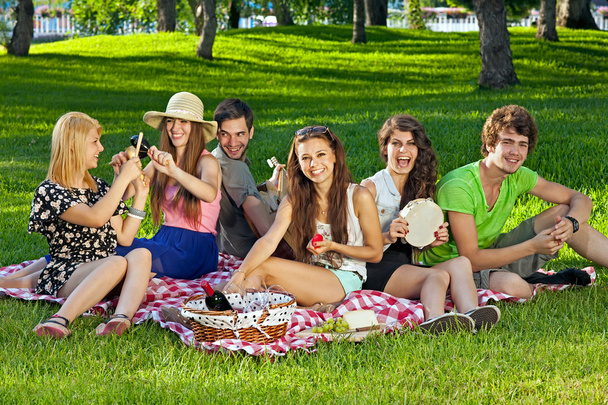 Friends having a picnic, sitting on grass - Zdjęcie, obraz