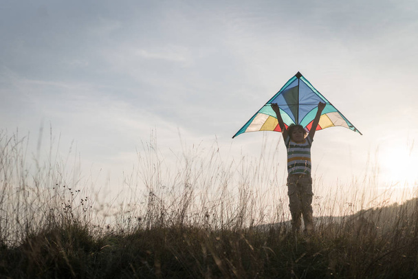 Happy  boy with kite silhouette on grass meadow - Fotografie, Obrázek