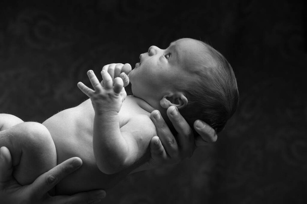 Malý chlapec novorozenec zblízka  - Fotografie, Obrázek
