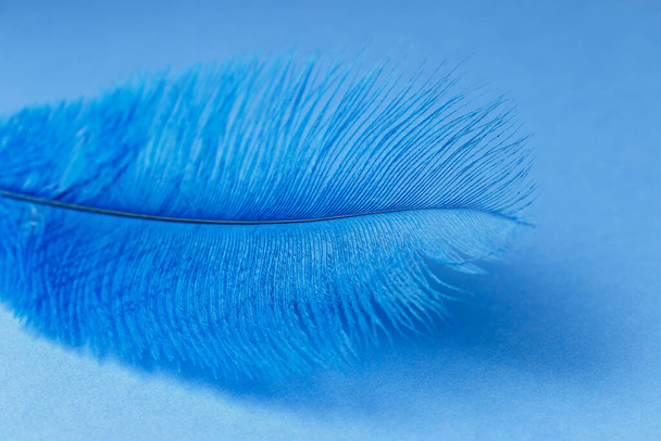 Close-up van blauwe veren textuur achtergrond - Foto, afbeelding