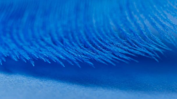 Gros plan de fond de texture de plume bleue
 - Photo, image