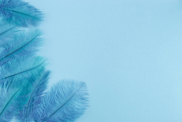 Group of fluffy blue feathers border background - Photo, Image