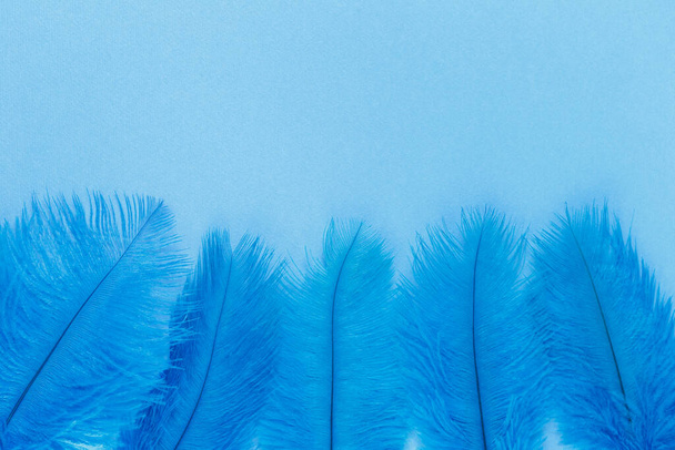 Группа пушистых голубых перьев пограничного фона
 - Фото, изображение