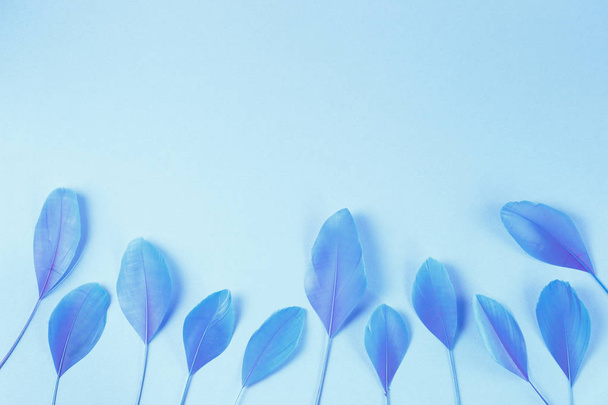 Kék tollak csoportja a fényben tiszta háttér - Fotó, kép