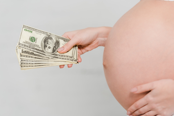Gri arka planda dolar banknotları tutan hamile kadının görüntüsü. Taşıyıcı annelik kavramı. - Fotoğraf, Görsel
