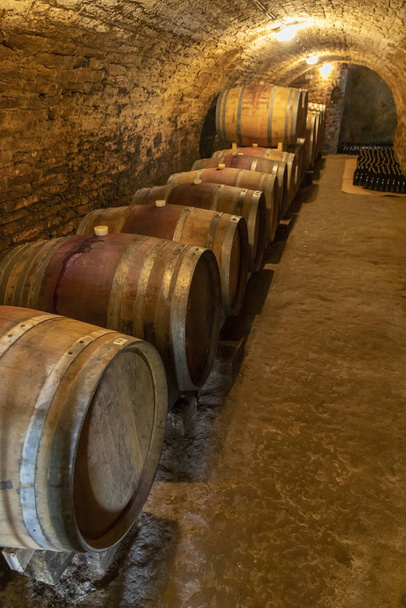 wine cellar with wooden barrels in Hajos, Southern Transdanubia, - Fotó, kép