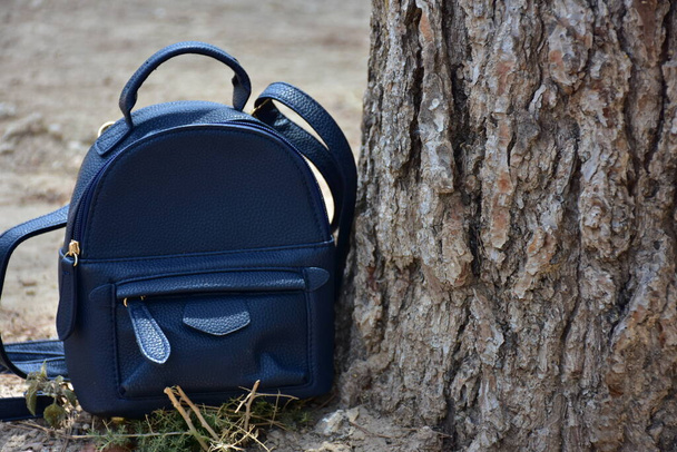 a black backpack near a tree, - Photo, Image