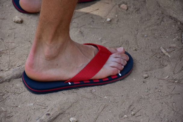 足の夏の靴 - 写真・画像