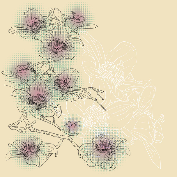 czułe gałązki kwitnące storczyki na jasnym tle - Wektor, obraz