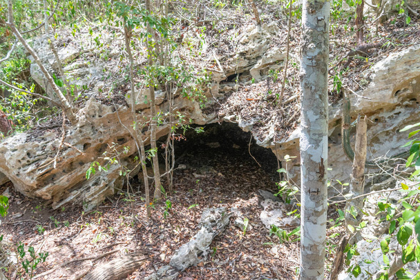 Höhle mitten im Wald - Foto, Bild