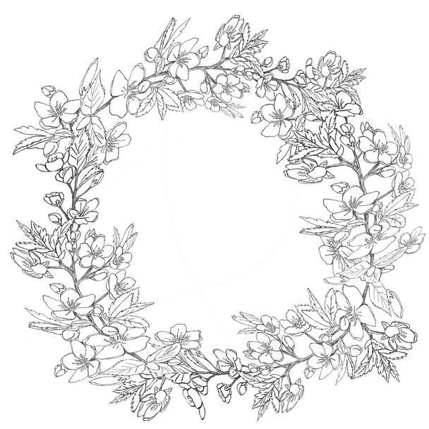 Wunderschöner runder Rahmen mit blühenden Kirschzweigen auf weißem Hintergrund, isoliert - Foto, Bild