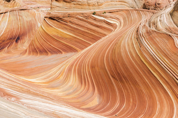 The Wave in Coyote Buttes North in Utah - Foto, Imagem