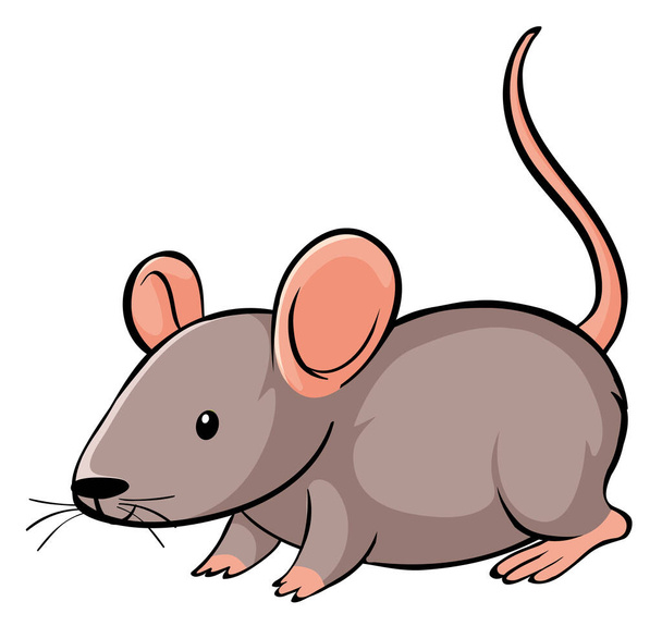 Cute mouse on white background - Vector, Image